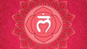chakra racine