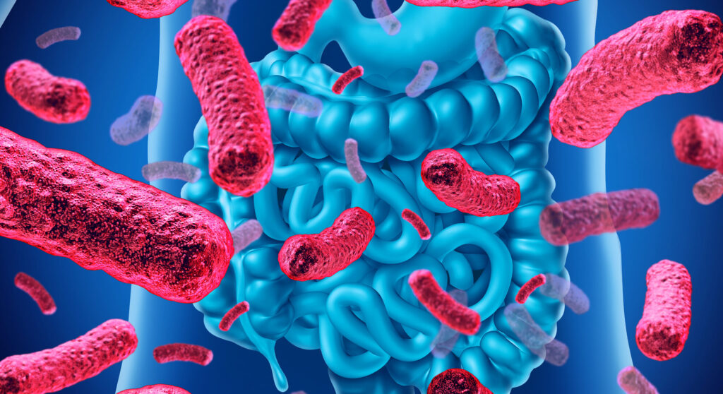 Les probiotiques : comment agissent-ils sur le microbiote ?
