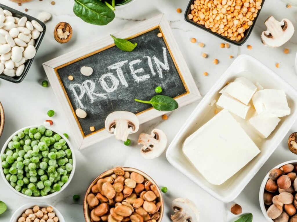 Quels aliments sont riches en protéines ?