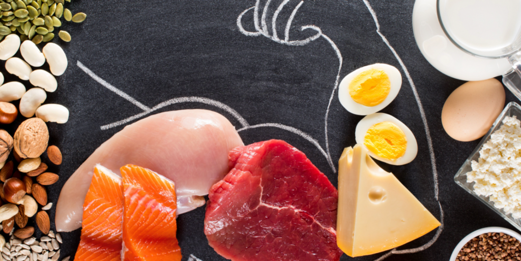 Quels sont les aliments riches en protéines pour la musculation ?