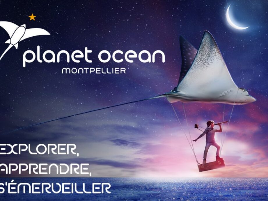 Astuce pour des billets pas chers à Planet Ocean Montpellier