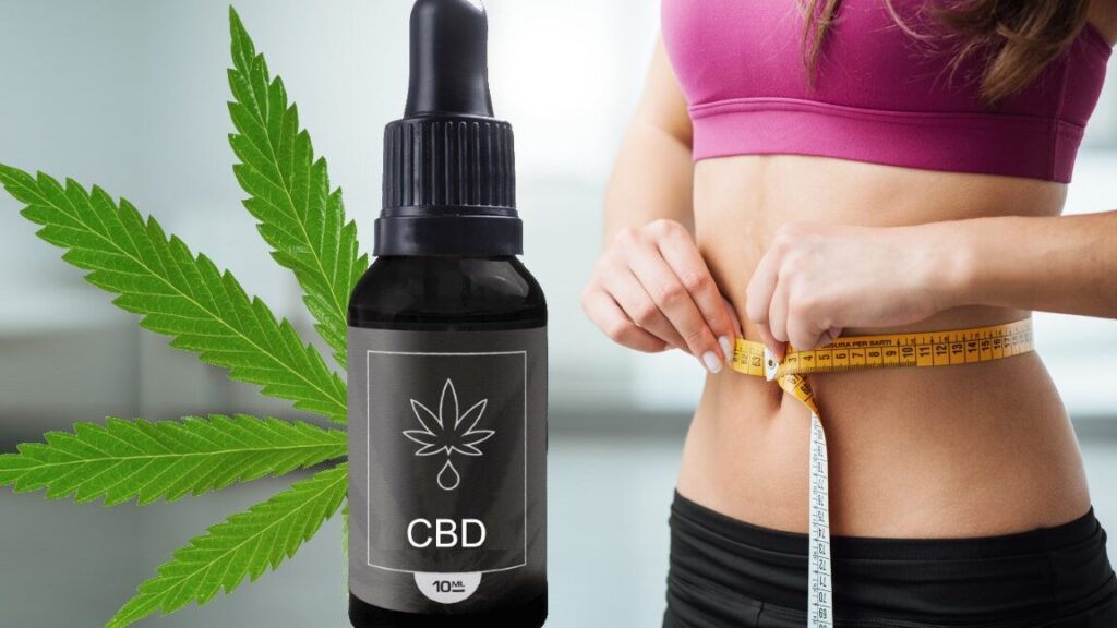 CBD : Le Nouveau Régime